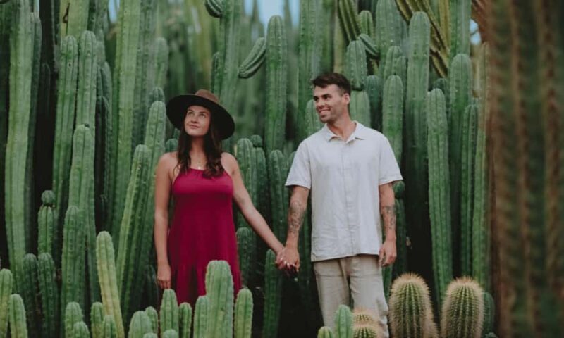 Cactus Country: Entry Ticket - An In-Depth Look at Cactus Country – Why It’s Worth Visiting