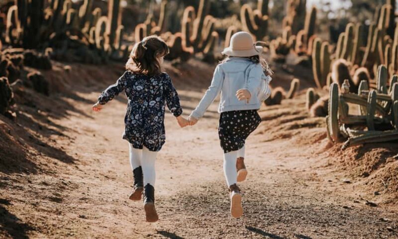 Cactus Country: Entry Ticket - FAQ