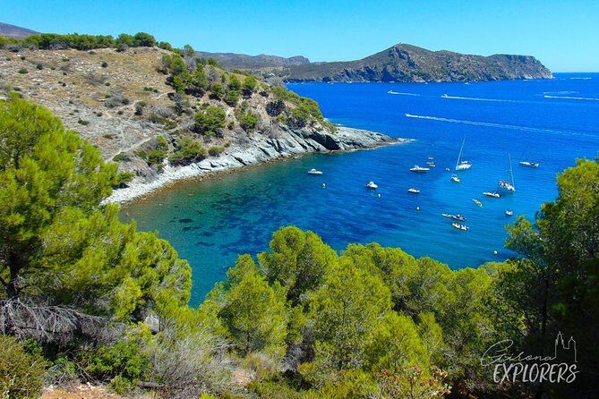 Cadaqués & Dalí House-Museum day trip from Girona (tickets included) - Analyzing the Value