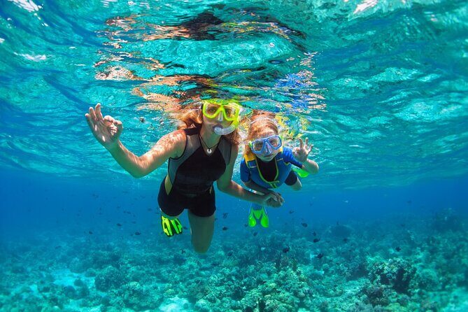 Cadaqués Swimming Adventure - Who Should Consider This Tour?