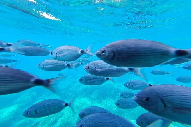 Cadaqués Tour 1 hour stop and Super Vision underwater - The Itinerary: What to Expect