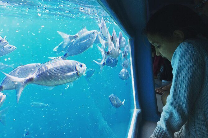 Cadaqués Tour 1 hour stop and Super Vision underwater - Who Will Love This Tour?