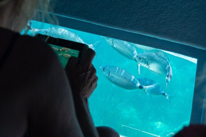 Cadaqués Tour 1 hour stop and Super Vision underwater - FAQ