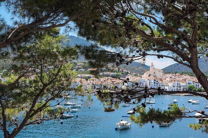 Cadaqués & Wine Tasting Day Trip - Who Is This Tour Best For?