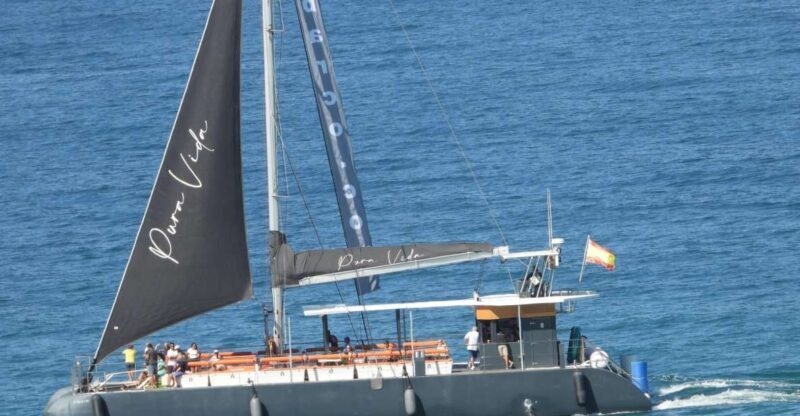 Cadiz: Bay of Cadiz Catamaran Tour with Host - Final Thoughts