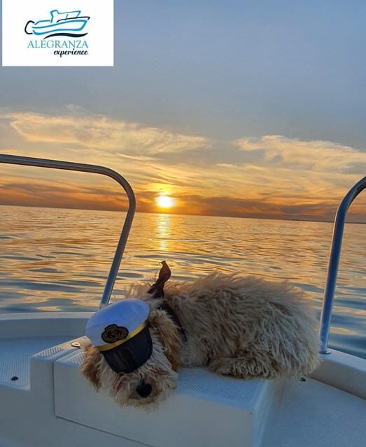 Cadiz Bay: Sunset boat tour "Fall in Love" - A Detailed Look at the Cádiz Bay Sunset Tour
