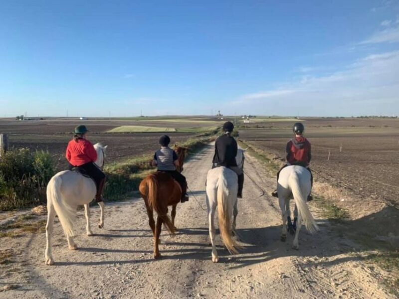 Cádiz Country side: Ride an Andalusian Horse - An In-Depth Look at the Cádiz Horseback Riding Tour