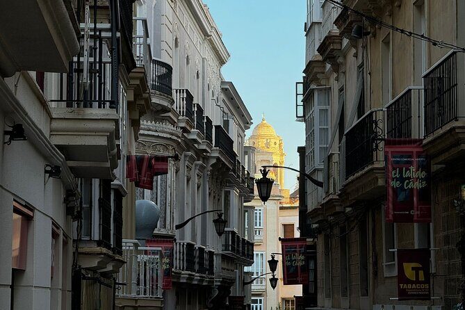 Cadiz from a Seagull's Eye View: A Route Between Rooftops and Observation Towers - The Experience: What to Expect