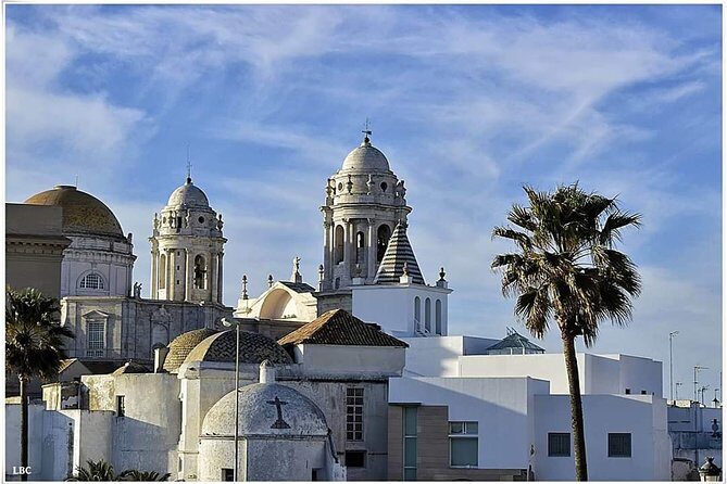 Cadiz Shore Excursion: Scenic & walking tour with cheese and sherry tasting - What Travelers Say