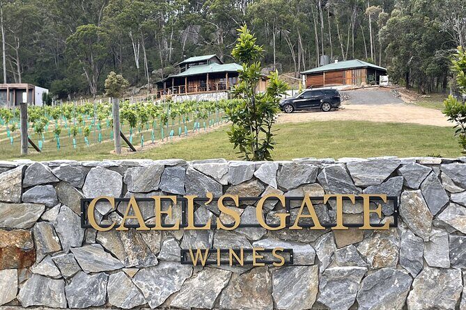 Caels Gate Wine Tasting in Hunter Valley - Authentic Reviews Confirm the Experience’s Appeal
