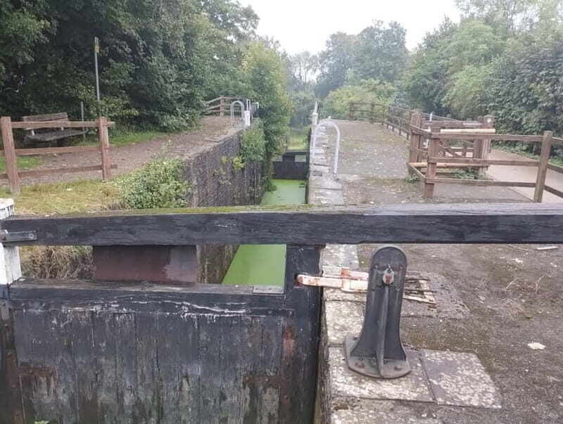 Caerleon and Newport: Roman Fortress and Historic Highlights - Why This Tour Offers Great Value