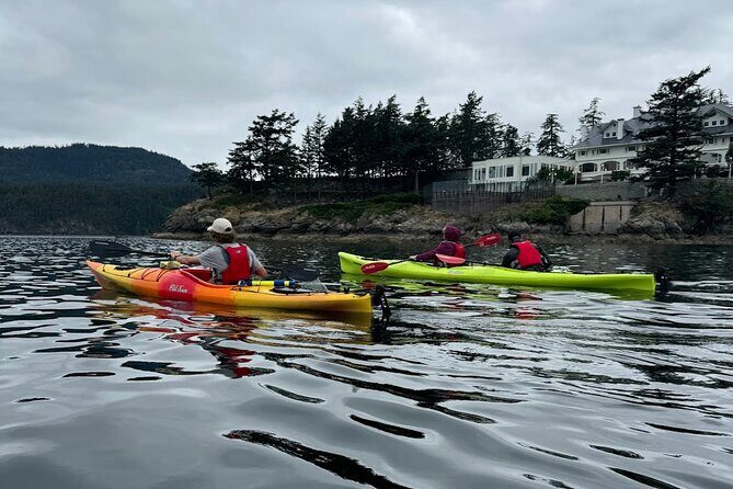 Cafes and Kayaks: Full Day Kayaking Adventure on Orcas Island - A Full Breakdown of the Tour Experience