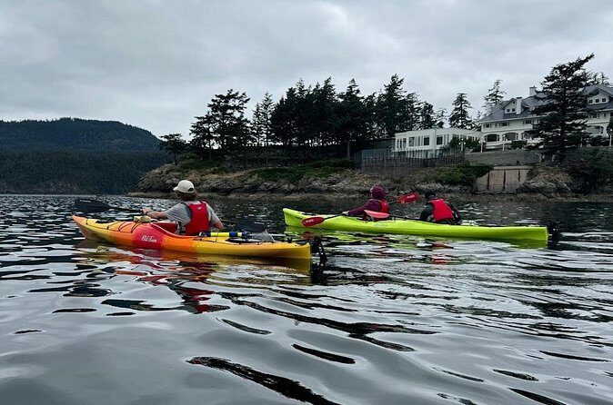 Cafes and Kayaks: Full Day Kayaking Adventure on Orcas Island - Who Would Love This Tour?