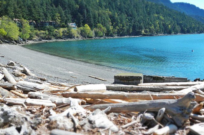Cafes and Kayaks: Full Day Kayaking Adventure on Orcas Island - The Sum Up