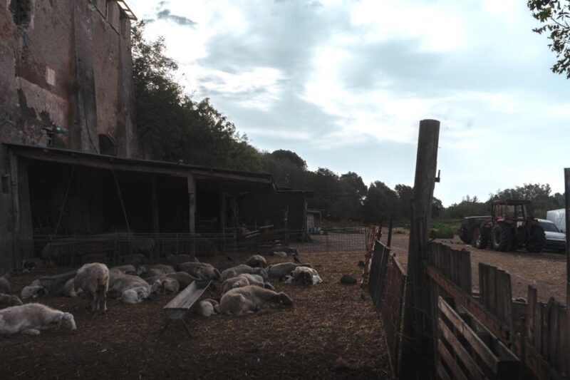 Caffarella Park: Rome's Secret Urban Hiking Paradise - Key Points