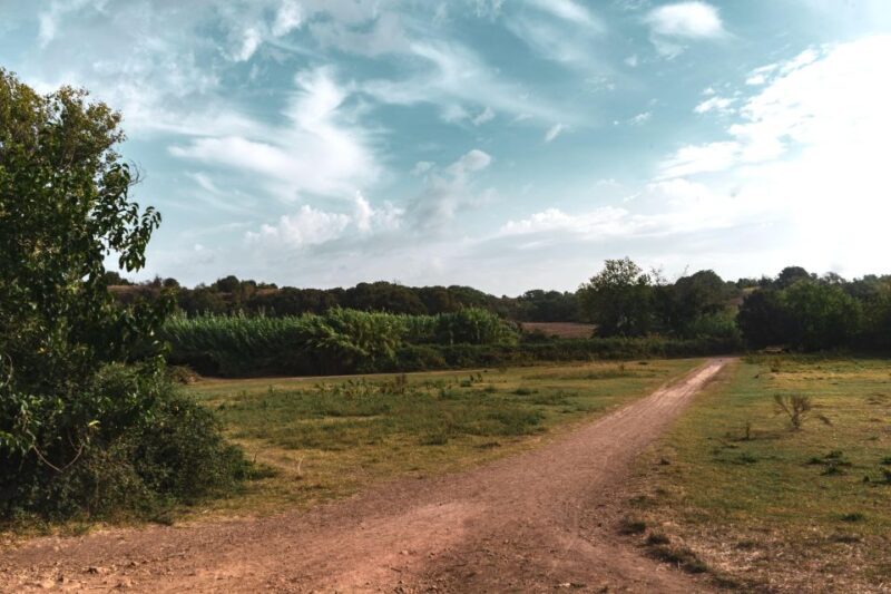 Caffarella Park: Rome's Secret Urban Hiking Paradise - Final Thoughts: Who’s It Perfect For?