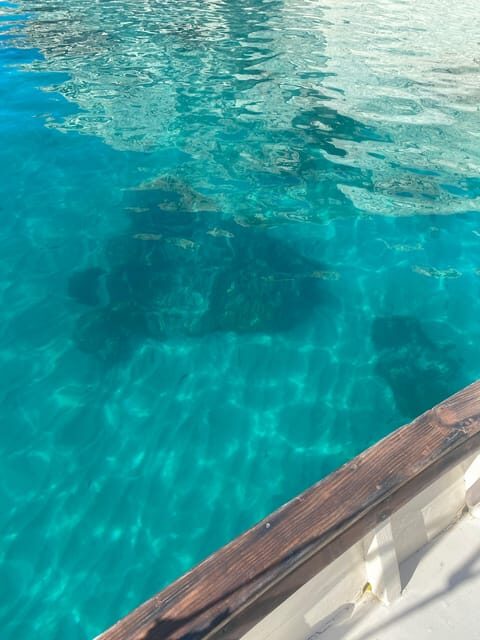 Cagliari: Classic Boat tour along the gulf with tasting. - Exploring the Experience in Detail