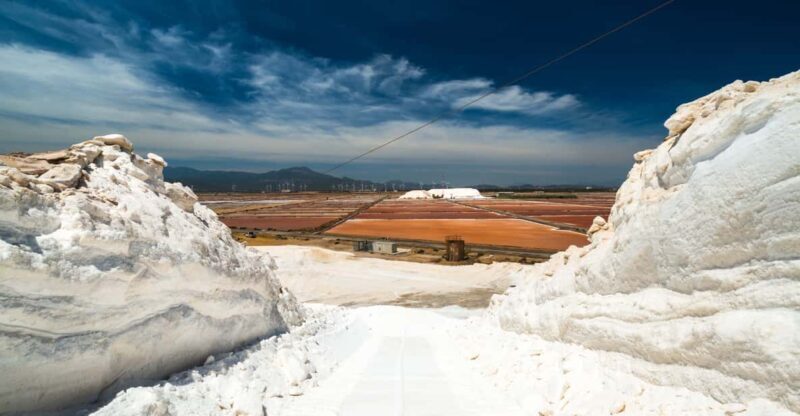 Cagliari: Conti Vecchi Salt Flats Train and Tour - Key Points
