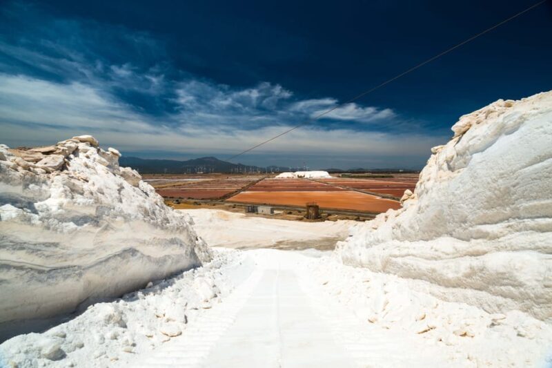 Cagliari: Conti Vecchi Salt Flats Train and Tour - Who Will Love This Experience?