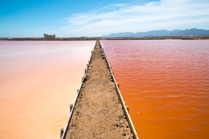 Cagliari: Conti Vecchi Salt Flats Train and Tour - The Sum Up