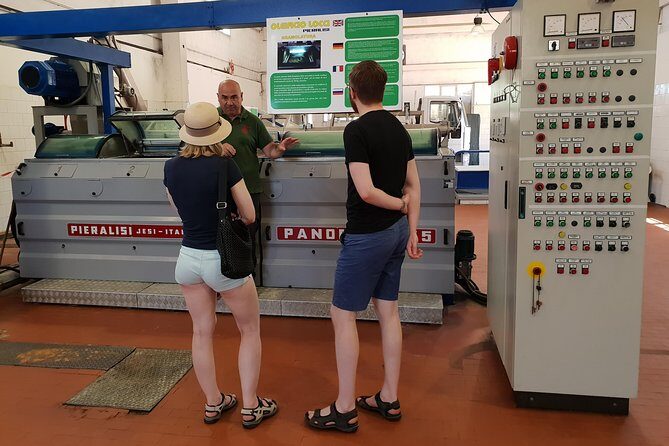 Cagliari: Experience Tasting from Chia - Who Should Consider This Tour?