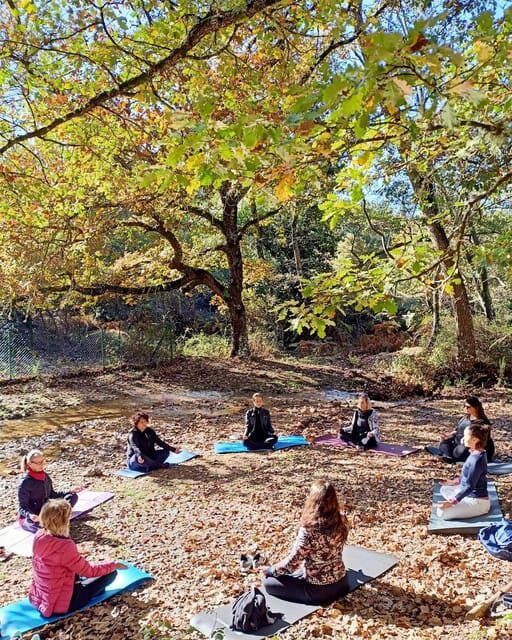 Cagliari: forest bathing at Sette Fratelli Park - Key Points