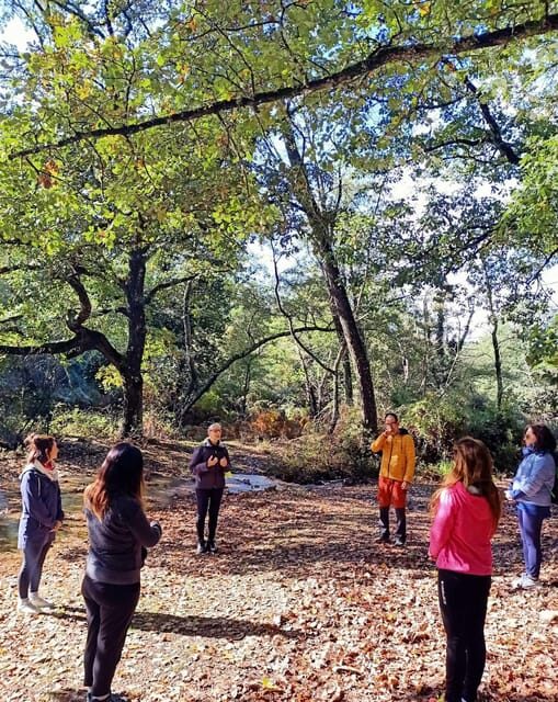 Cagliari: forest bathing at Sette Fratelli Park - An In-Depth Look at the Sette Fratelli Forest Bathing Experience