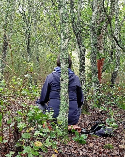 Cagliari: forest bathing at Sette Fratelli Park - FAQ