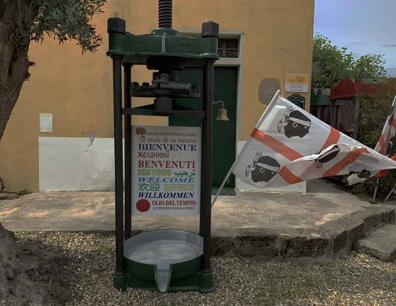 Cagliari Olive Oil Museum: Tours & Tasting a Dolianova - Key Points