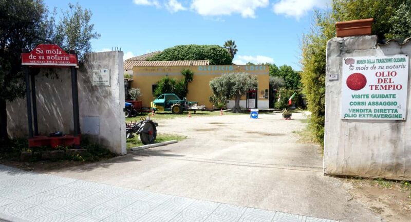 Cagliari Olive Oil Museum: Tours & Tasting a Dolianova - A Complete Guide to the Olive Oil Tour Experience