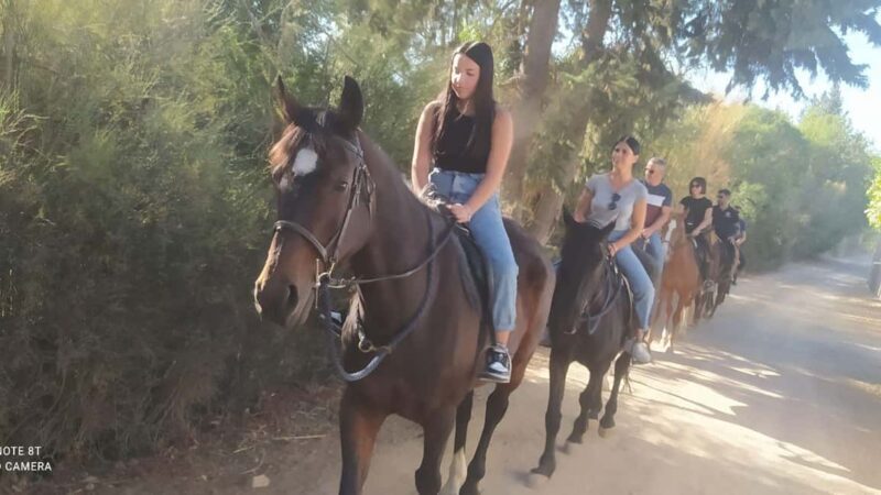 Cagliari: panoramic horseback riding - Key Points