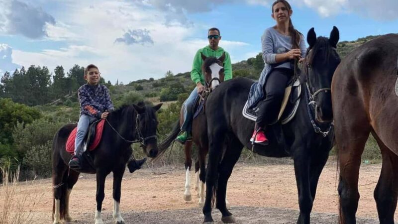 Cagliari: panoramic horseback riding - The Sum Up: Who Will Love This Tour?