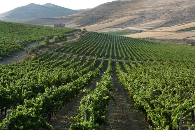 Cagliari Private Shore Excursion: Wine and Cheese Tasting - Exploring the Inland Sardinian Countryside