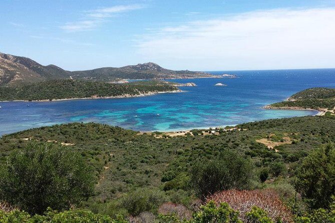 Cagliari: Professional Guided Coasteering Tour from Pinus Village - FAQ