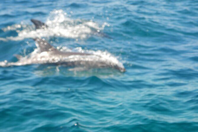 Cagliari: The magic of the Devil's Saddle and its caves - The Value of the Experience