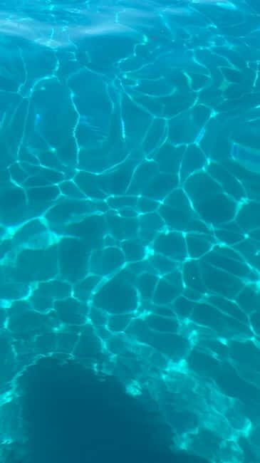 Cagliari: tour con 5 soste snorkeling e aperitivo - Authentic Experiences from Reviewers