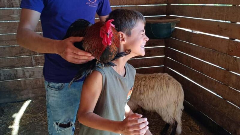Cagliari: visit the animals of a farm - FAQ