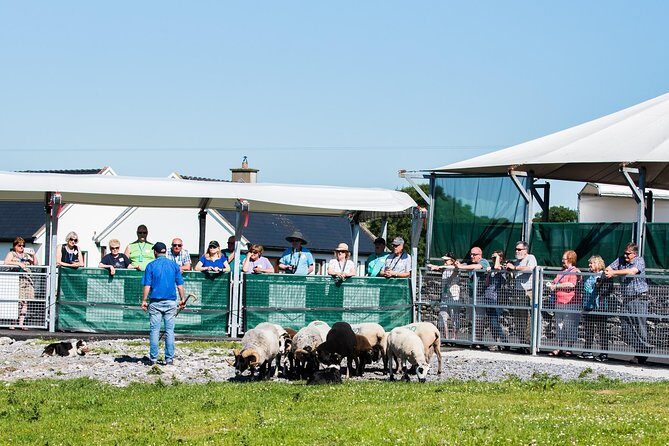 Caherconnell Fort & Sheepdog Demonstrations - FAQ