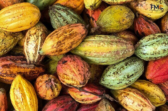 Cai Rang floating market, Cacao & hidden small canal - Final Thoughts