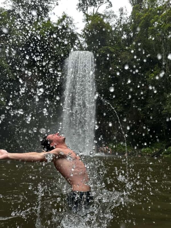 Cairns: 2-Day Atherton Tablelands & Cape Tribulation Tour - The Value of This Experience