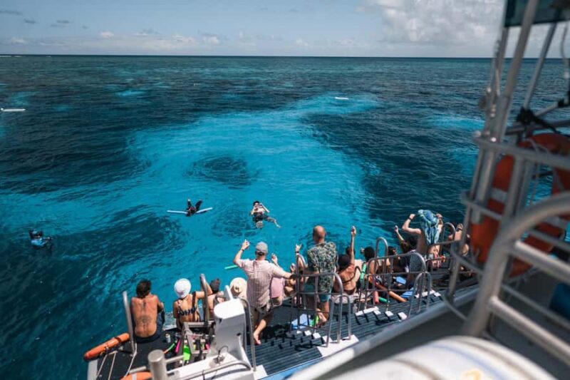 Cairns: 2-Day Great Barrier Reef and Fitzroy Island Tour - An In-Depth Look at the Cairns 2-Day Reef and Island Tour