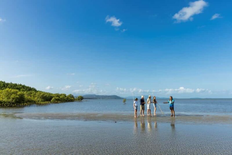 Cairns: Aboriginal Coastal Adventure & Mossman Gorge Tour - Key Points