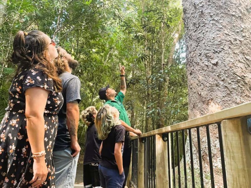 Cairns: Aboriginal Cultural Discovery Tour - Who Will Love This Tour?