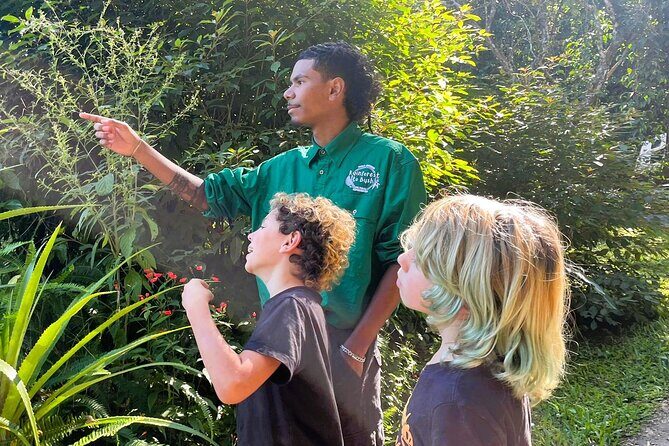 Cairns: Aboriginal Cultural Tour Atherton Tablelands - Key Points