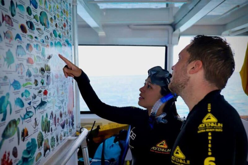 Cairns: All-Inclusive Great Barrier Reef Half-Day Snorkeling - Key Points