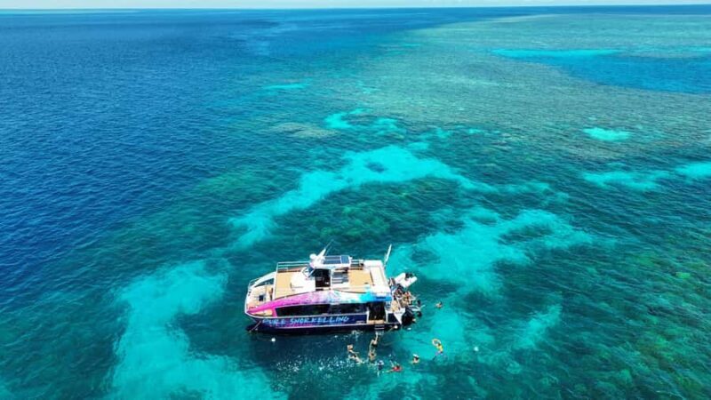 Cairns: All-Inclusive Great Barrier Reef Half-Day Snorkeling - Why This Tour Offers Strong Value