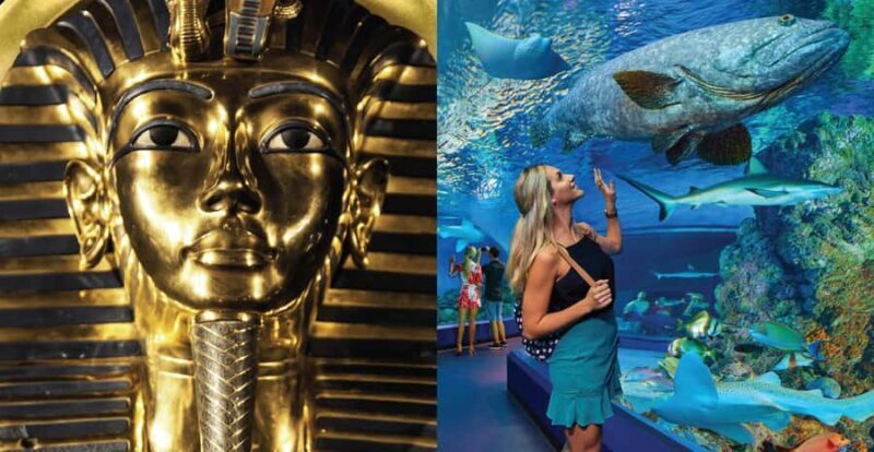 Cairns: Aquarium and Tomb of the Pharaohs Entry Ticket - An In-Depth Look at the Cairns Aquarium and Tomb of the Pharaohs