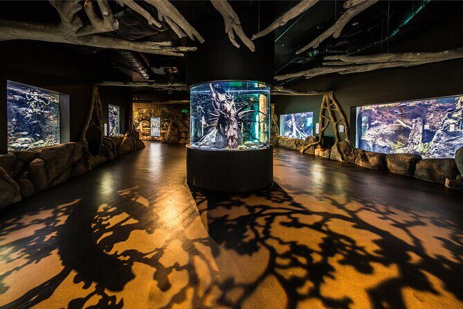 Cairns Aquarium by Twilight Tour - FAQ