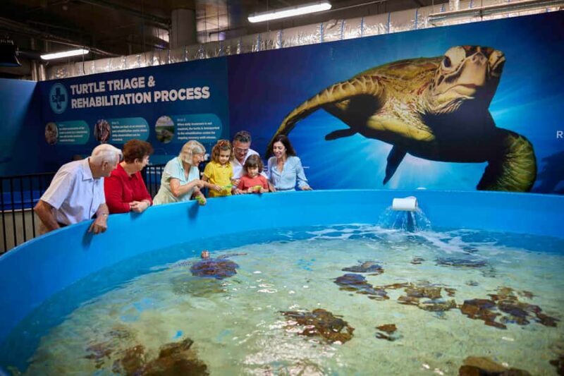 Cairns: Aquarium Entry Ticket and Turtle Rehabilitation Tour - Authentic Voices from Visitors