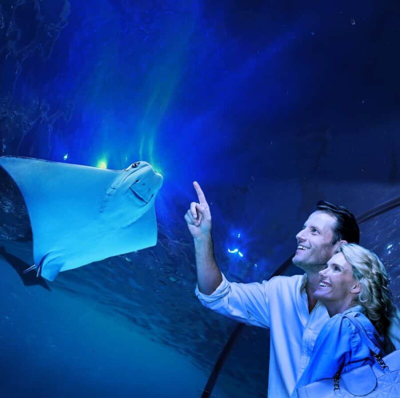 Cairns: Aquarium Guided Twilight Tour with 3-Course Dinner - What to Expect at Each Stage